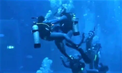 A video of scuba divers purportedly "fighting" each other underway at the S.E.A. Aquarium at Sentosa is not what it appears.