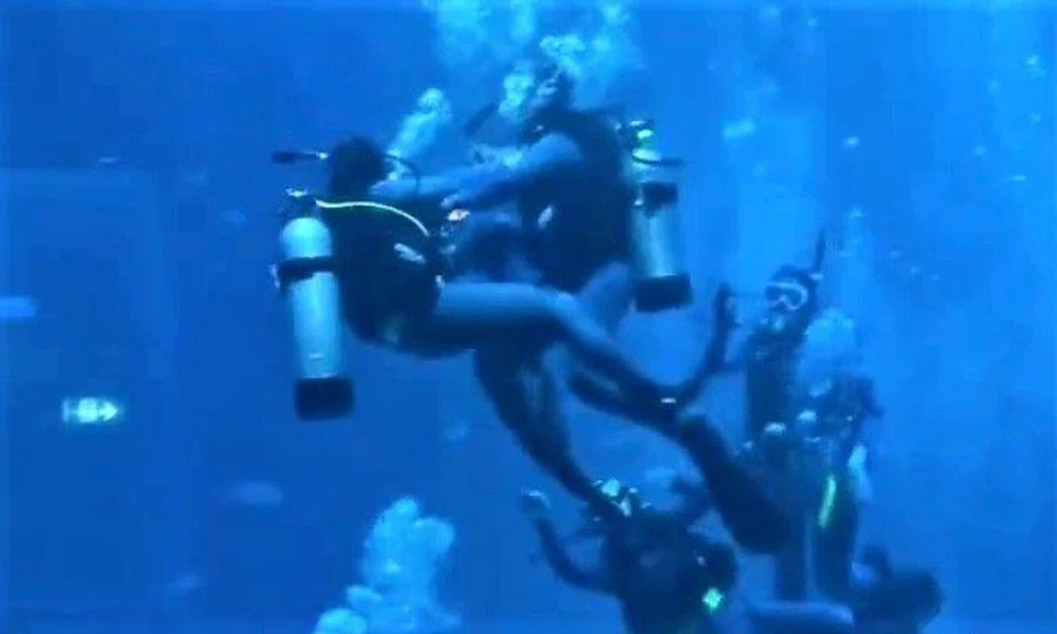 A video of scuba divers purportedly "fighting" each other underway at the S.E.A. Aquarium at Sentosa is not what it appears.