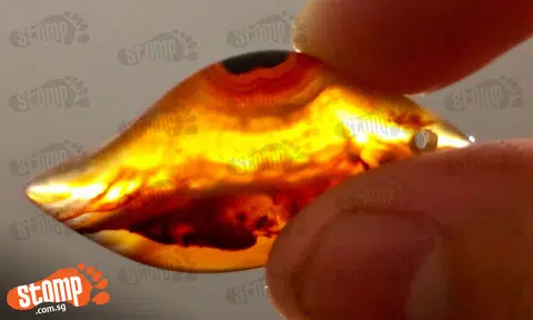 Stomper finds the final missing 'Infinity Stone'