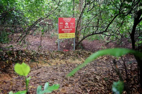 Cyclist hit by bullet during live-firing exercise in restricted area under investigation for wilful trespass