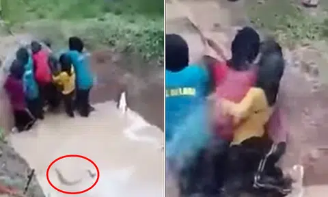 Video of girls getting thrown into snake pit during school camp in Malaysia will make you want to hug your kids close