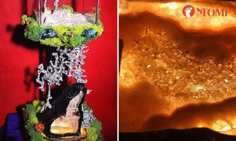 3 weeks, $2k and a lot of patience for Stomper to build ant nest for National Day