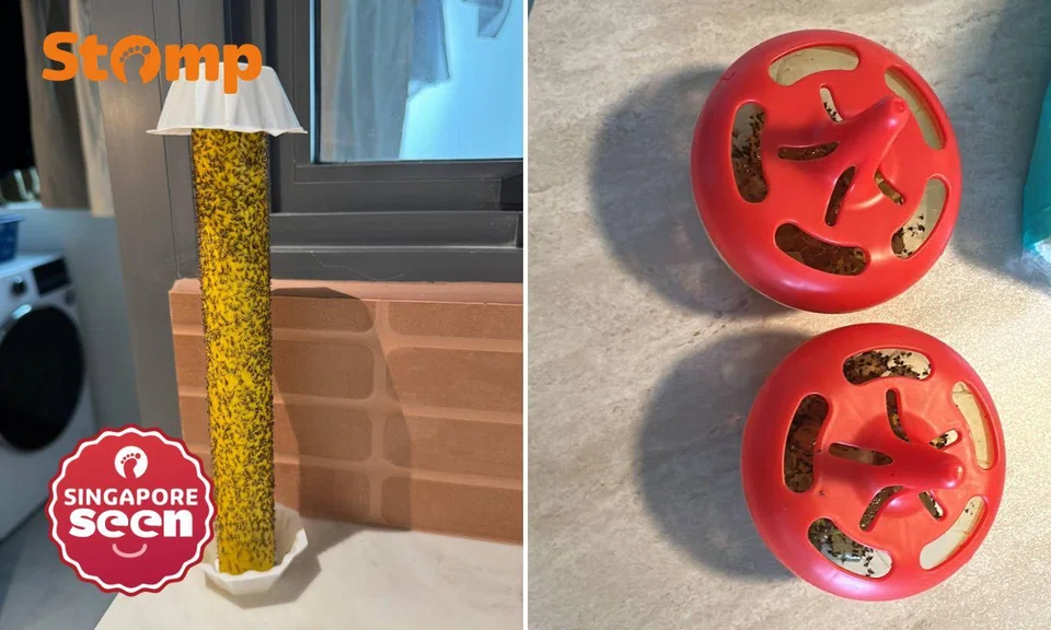 Mosquitoes and flies have been pestering residents in Woodgrove Ascent for a few weeks.