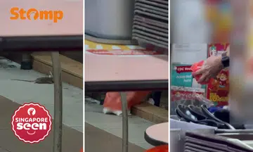 Golden Mile hawker denies squishing and killing rat cruelly