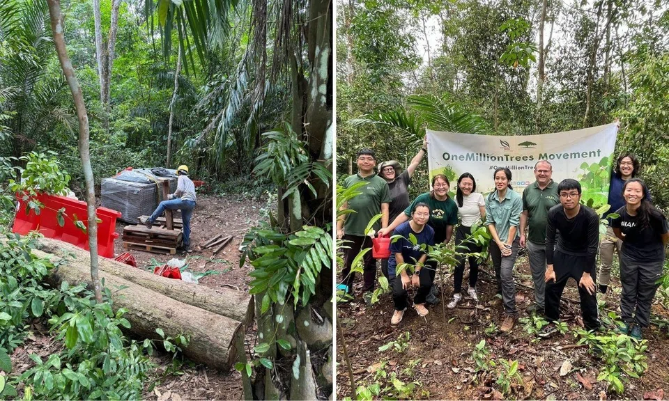 critically endangered plants removed contractor construction lower peirce reservoir national parks board