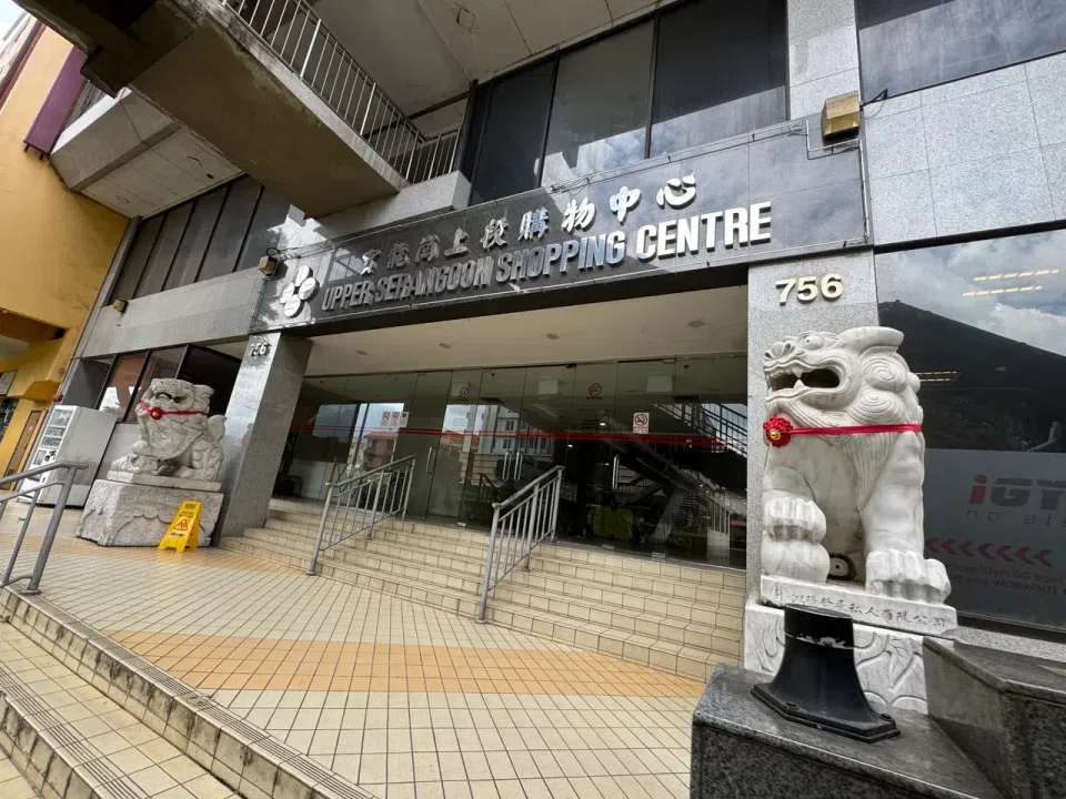 The woman was subdued by members of the public.