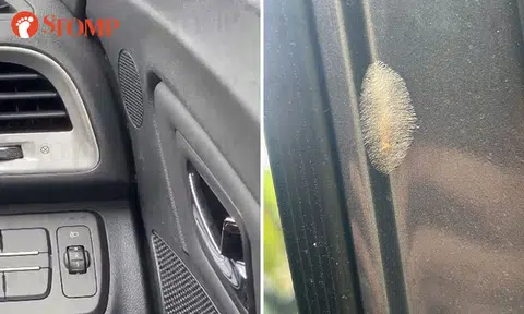 GetGo compensates user after he finds ants and other insects inside car at Bedok Reservoir