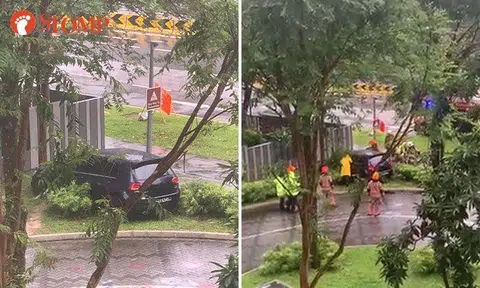 Driver left dazed after Volkswagen crashes into tree at Punggol Central