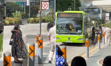 women stand in orchard bus bay and pose