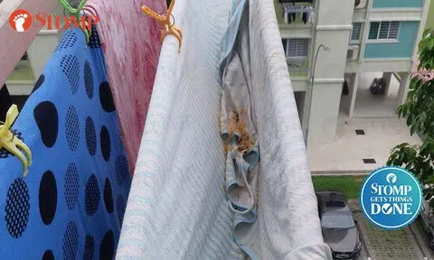 Town council alerts NEA to high-rise littering at Yishun block after Stomper finds noodles on her laundry