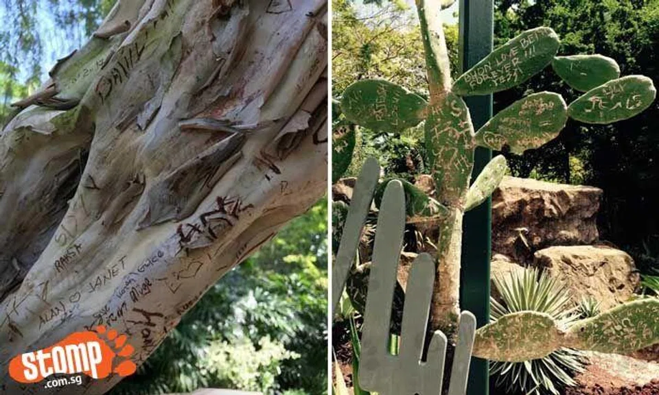 Visitors annoyed by sight of Botanic Gardens plants engraved with ...