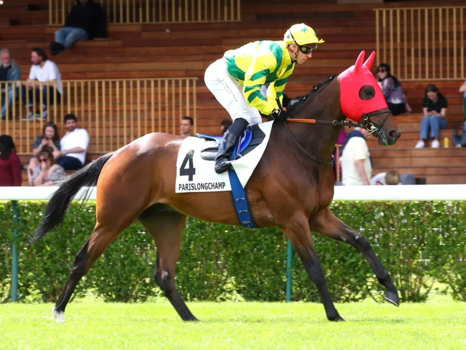 The Patrice Cottier-trained Horizon Dore will be reunited in the Group 1 Prix Ganay (2,100m) on April 27 with Italian jockey Cristian Demuro with whom he finished second in the Group 1 Prix d'Ispahan (1,850m) at Longchamp on May 26, 2024. Horizon Dore ran second in the Prix d'Harcourt first-up.