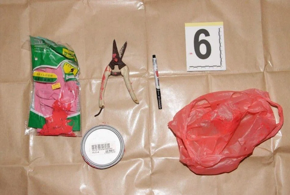 A mobile phone, a black marker, a pair of gloves and a can of red paint were seized as case exhibits.