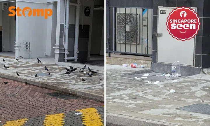 Ghim Moh resident wants CCTV to catch litterbugs and bird feeders