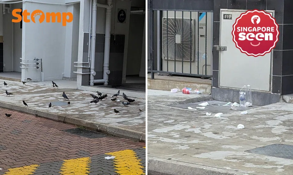 Ghim Moh resident wants CCTV to catch litterbugs and bird feeders