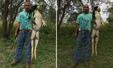 Is this legit? Hunter causes stir online after catching 'monster frog' with 'hair'