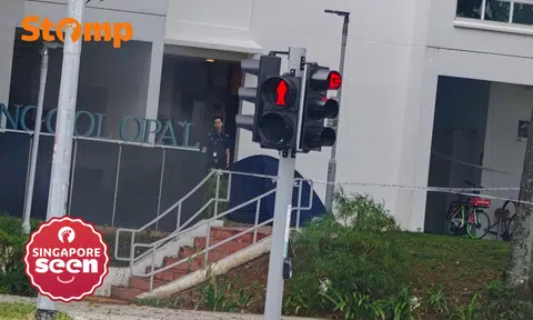 Punggol fall from height incident and helplines