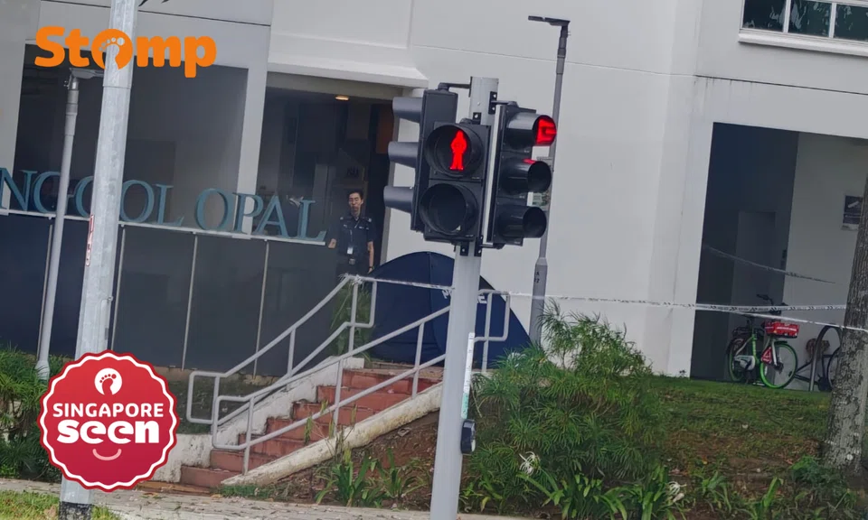 Punggol fall from height incident and helplines
