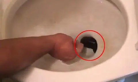 Photos: The Daily Star