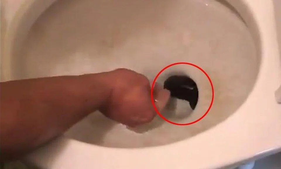 Photos: The Daily Star