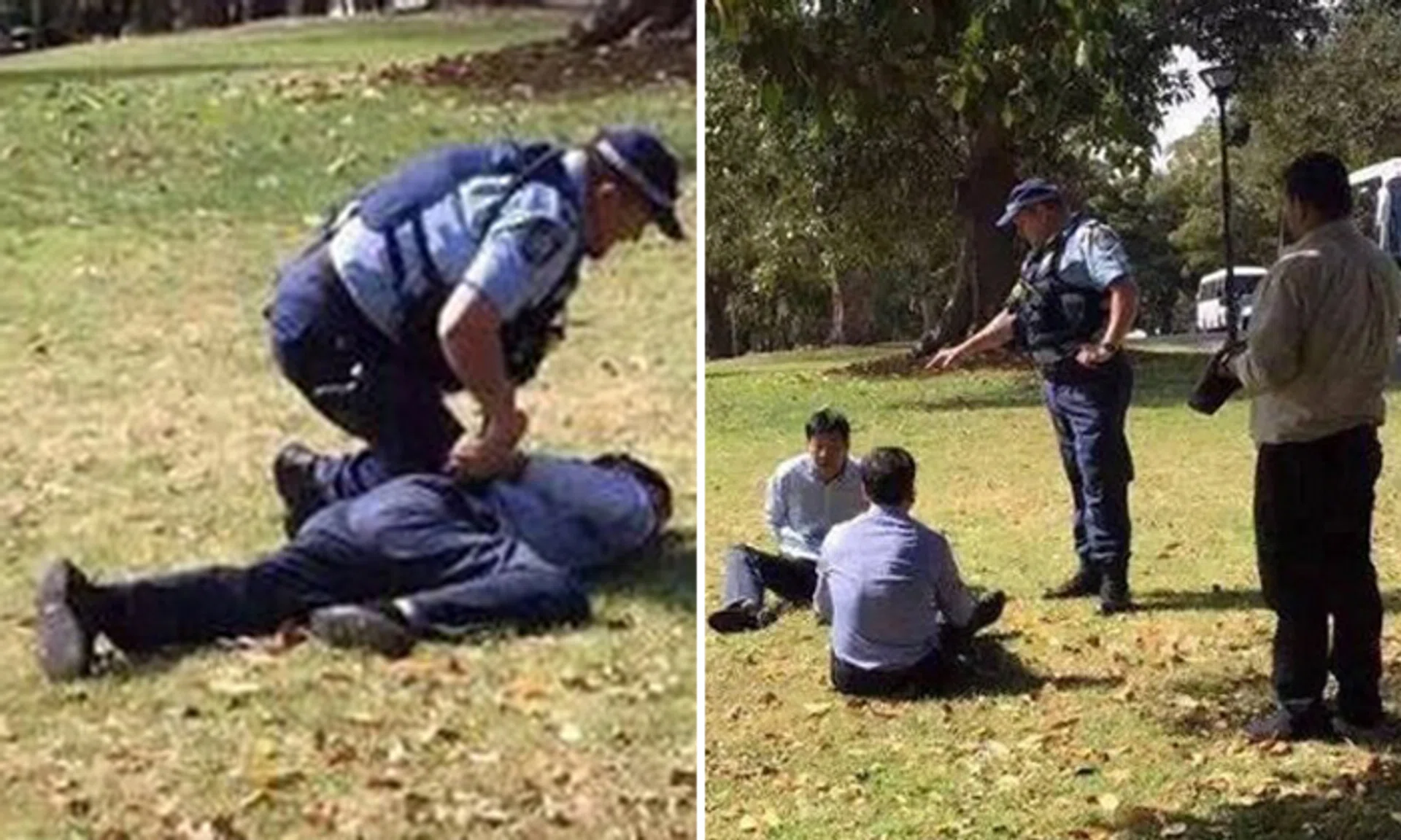 Two China tourists caught for resisting arrest after peeing in Sydney's ...