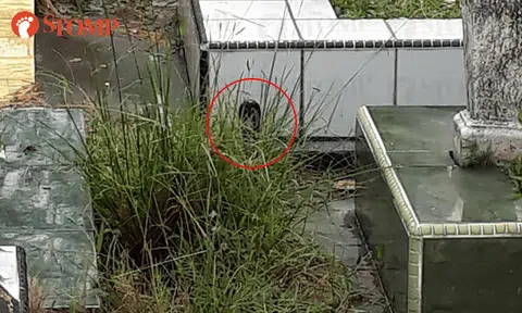 Timely discovery leads to narrow escape for woman at Lim Chu Kang cemetery: "I could have died"