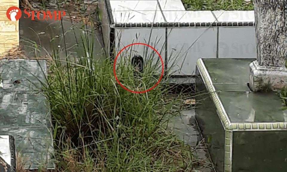 Timely discovery leads to narrow escape for woman at Lim Chu Kang cemetery: "I could have died"