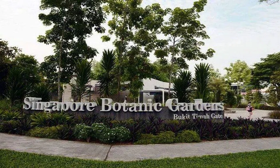 The man claimed the photo would be used for a poster for an event organised with Youth Corps Singapore. ST FILE PHOTO