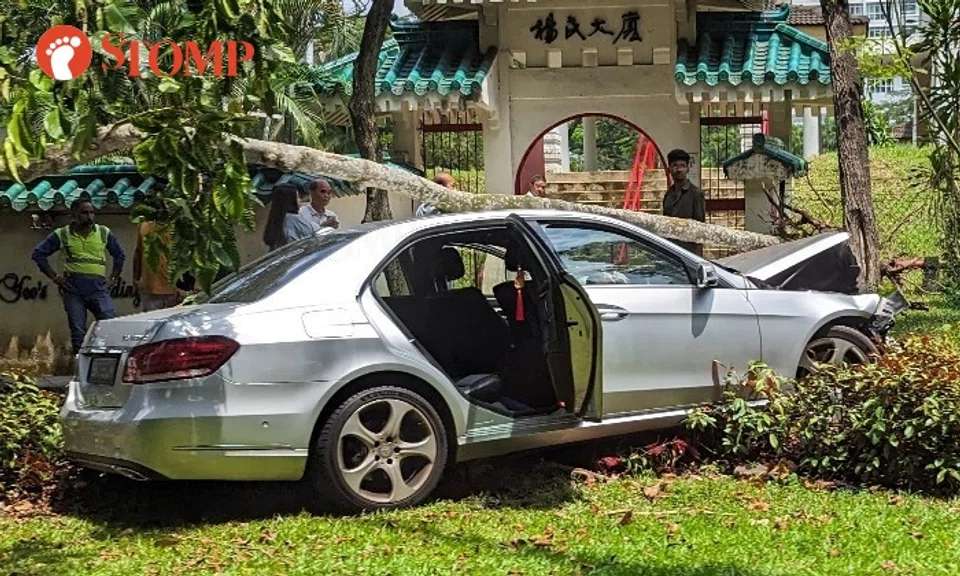 Stomper Gary shared a photo of the silver sedan with its damaged bonnet on a glass verge and several onlookers.