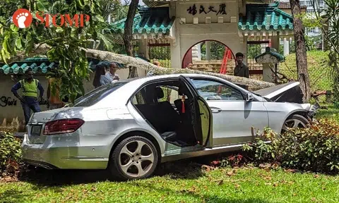 Mercedes crashes into tree outside Yeo's Building, driver and 2 passengers taken to hospital