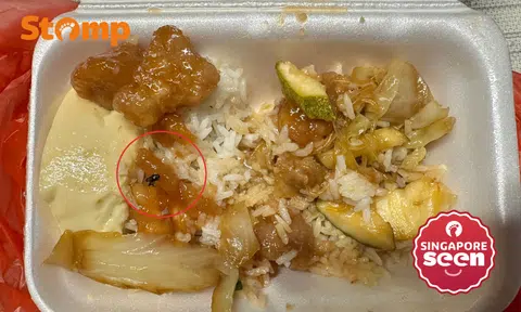 Dead fly in mixed rice dish leaves sour taste in Stomper's mouth