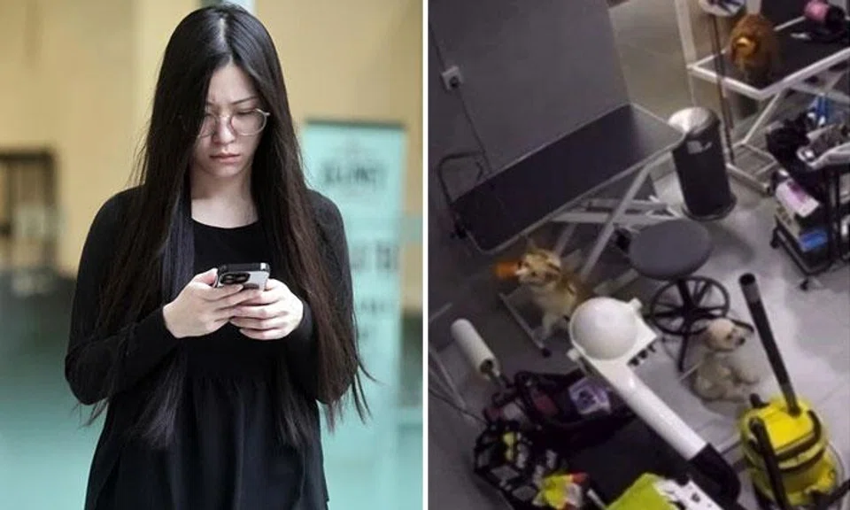 Vanessa Chiu Yan Er was fined $10,000 on April 8, 2025. She had earlier pleaded guilty to one count of causing unnecessary pain and suffering to the dog. ST PHOTO: KELVIN CHNG