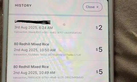 $16.50 for cai fan? Elderly man allegedly scammed of CDC vouchers at Redhill stall