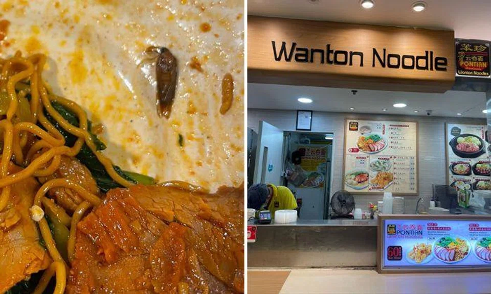 Koufu stall vendor accuses diner of putting cockroach into Pontian Wanton Noodles, SFA investigating