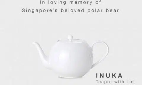 Local hardware retailer apologises for selling 'Inuka' teapot after drawing flak