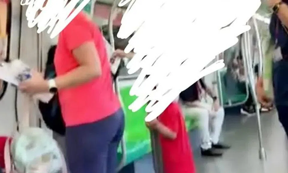 Commuter causes delay on East-West Line after pressing emergency button because she missed her stop