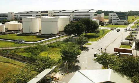 Err...who ordered a box of 65 bullets? It was found at Changi Airfreight Centre