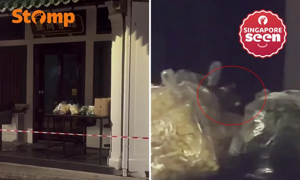 rats outside Amoy Street restaurant