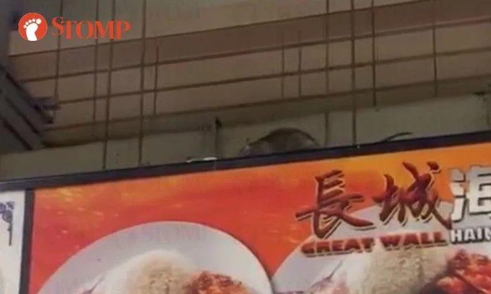 Town council responds after resident sees rat above chicken rice stall at Yuhua Hawker Centre