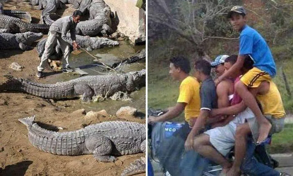 'Safety' is a word that's definitely not in the dictionary of these reckless folks