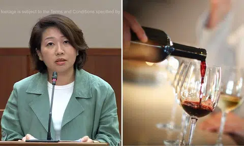 mountbatten mp gho sze kee suggests some skillsfuture courses might be inappropriately used