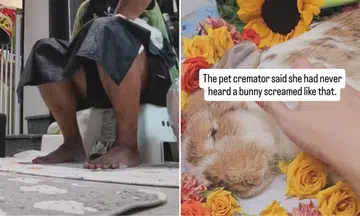 bunny dies after groomer pins it down for over 20 min
