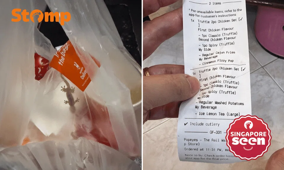 Lizard found inside Grab delivery from Popeyes