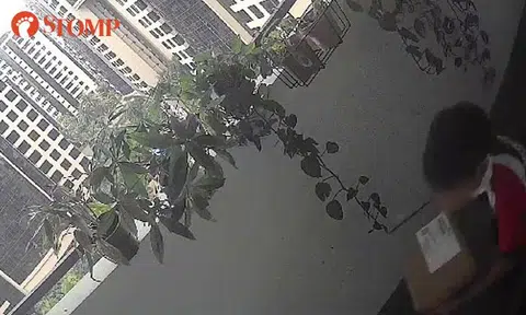 Dover resident calls police after boy is caught on video running off with her Shopee parcel