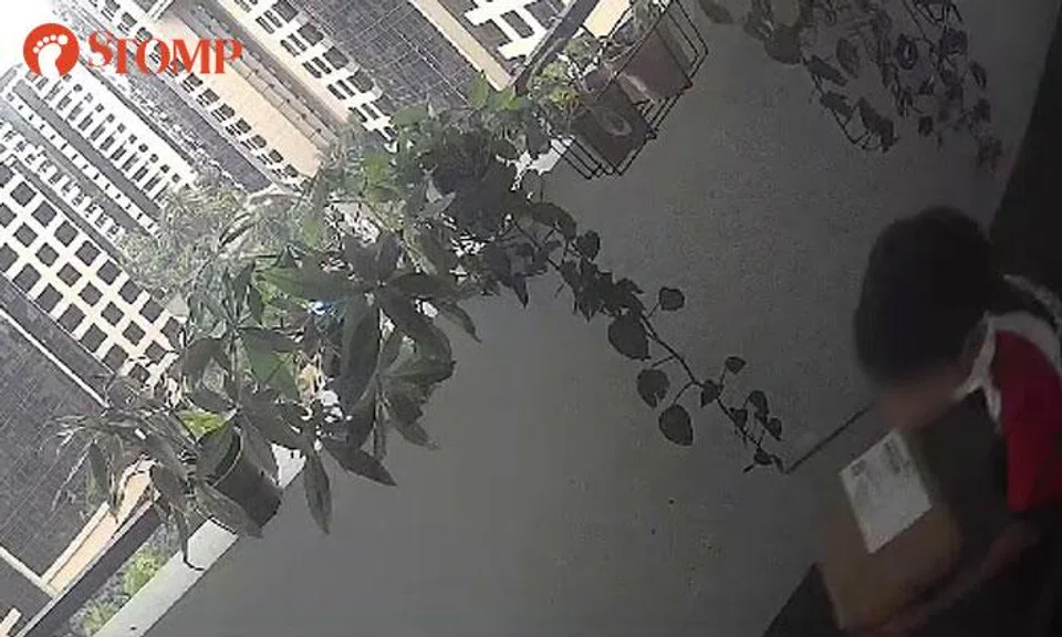 Dover resident calls police after boy is caught on video running off with her Shopee parcel