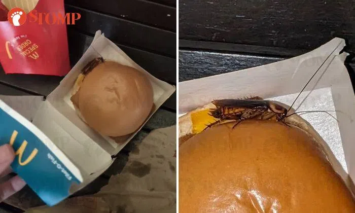 McDonald's checks CCTV after Stomper asks how live cockroach got into ...