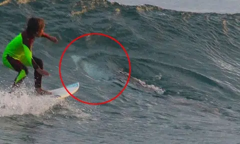 Chilling photos capture 10-year-old surfing over great white shark in Australia