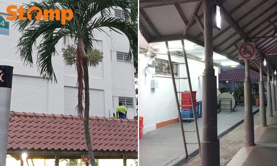 An eight-step ladder on site