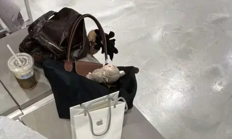 Poly student furious after finding her Labubu doll stolen from bag while shopping at Orchard
