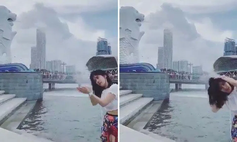Woman's quirky video with Merlion wins hearts of netizens -- and even a 'marriage proposal'